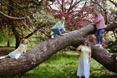 Family 29